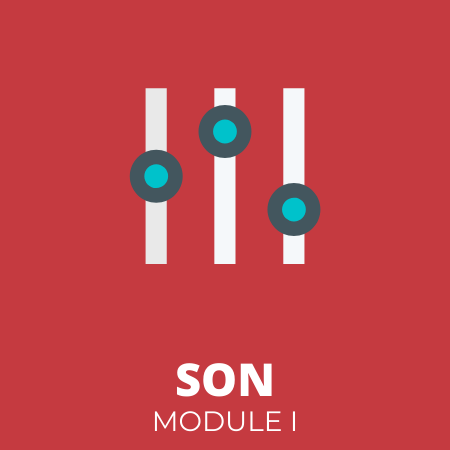 THEME SON – MODULE I – Technique Son
