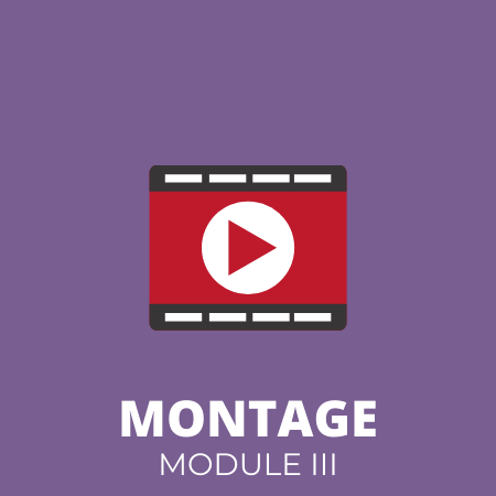 THEME MONTAGE – MODULE III – Montage Avid