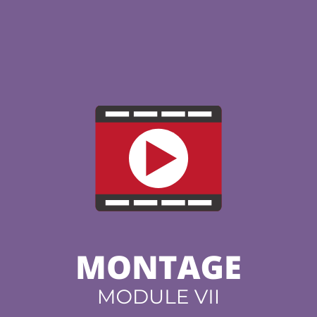THEME MONTAGE – MODULE VII – Montage Fiction